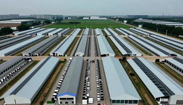 软件运维中的关键使用与维护建议